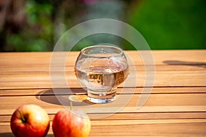 Brut apple cider from Betuwe, Gelderland, in glass, apple cider production in Netherlands photo