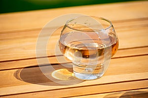 Brut apple cider from Betuwe, Gelderland, in glass, apple cider production in Netherlands photo