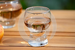 Brut apple cider from Betuwe, Gelderland, in glass, apple cider production in Netherlands photo