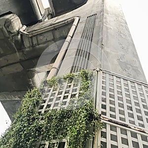 Brutalism Concrete Bridge Bangkok With Plants
