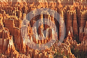 Bryce