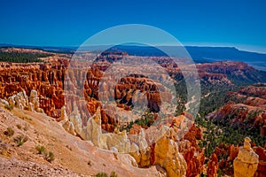 Bryce Amphitheater in a beautiful sunny day and blue sky in Bryce Canyon National Park, Utah