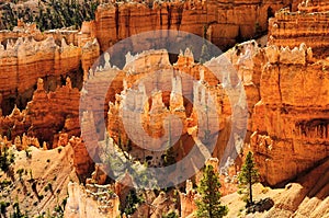 Bryce canyon