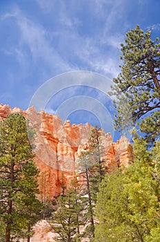 Bryce canyon