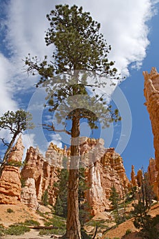 Bryce Canyon