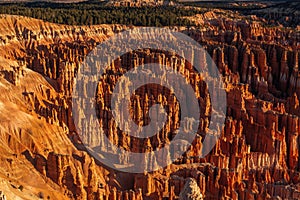 Bryce Canyon amphitheater