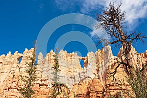 Bryce Canyon - Close up scenic view of the wall of windows on Peekaboo hiking trail in Bryce Canyon National Park, Utah, USA