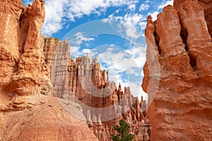 Bryce Canyon - Close up scenic view of the wall of windows on Peekaboo hiking trail in Bryce Canyon National Park, Utah, USA