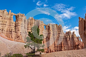 Bryce Canyon - Close up scenic view of the wall of windows on Peekaboo hiking trail in Bryce Canyon National Park, Utah, USA