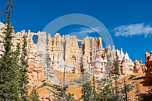 Bryce Canyon - Close up scenic view of the wall of windows on Peekaboo hiking trail in Bryce Canyon National Park, Utah, USA