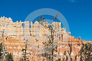 Bryce Canyon - Close up scenic view of the wall of windows on Peekaboo hiking trail in Bryce Canyon National Park, Utah, USA