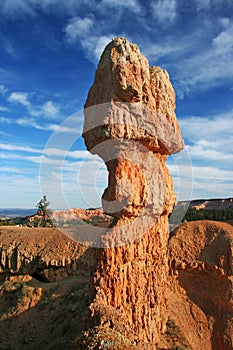 Bryce Canyon Hoodoo photo