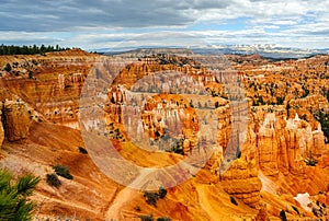 Bryce Canyon with hoodoo rock formations in summer, Bryce Canyon national park, Utah, United States (USA