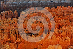 Bryce Canyon hoodoos