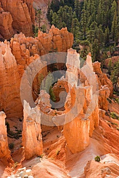 Bryce Canyon Hoodoos