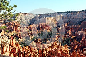 Bryce Canyon hoodoos