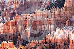 Bryce Canyon Hoodoos