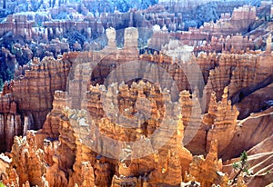 Bryce canyon hoodoos