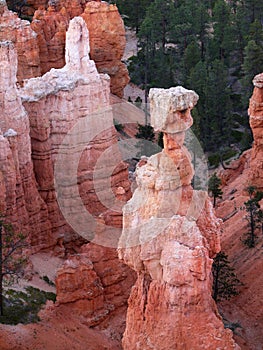 Bryce Canyon Hoodoos Closeup