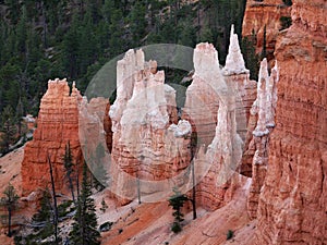 Bryce Canyon Hoodoos Closeup