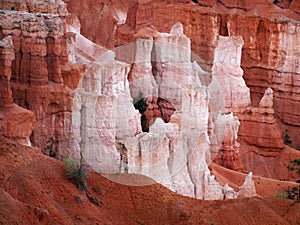 Bryce Canyon Hoodoos Closeup