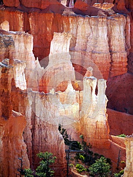 Bryce Canyon Hoodoos Closeup