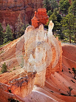 Bryce Canyon Hoodoos Closeup