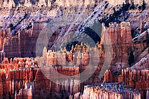 Bryce Canyon Hoodoos at Sunset