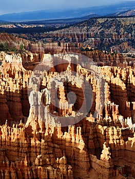 Bryce Canyon Hoodoos at Sunset