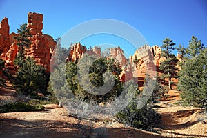 Bryce Canyon Hoodoos, Utah, USA