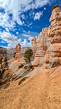 Bryce Canyon - Man with scenic aerial view of hoodoo sandstone rock formations on Peekaboo trail in Utah, USA