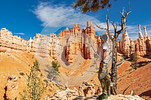 Bryce Canyon - Man standing next to old tree Bristlecone Pine. Scenic view of Pinnacles on Peekaboo hiking trail, Utah