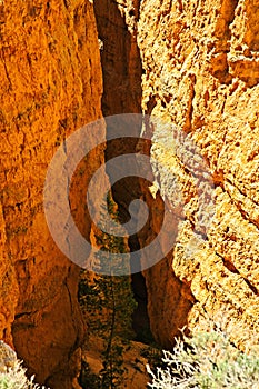 Bryce Canyon Nationa Park, Hoodoos and beatuiful scenery