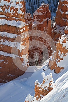 Bryce Canyon National Park