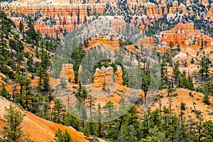 Bryce canyon national park.