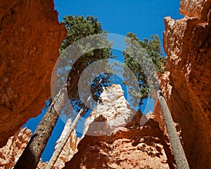 Bryce Canyon National Park