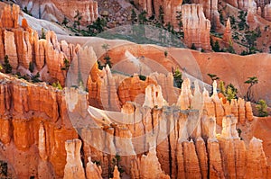 Bryce Canyon National park