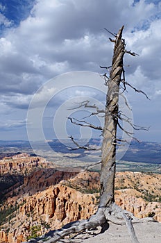 Bryce Canyon National Park