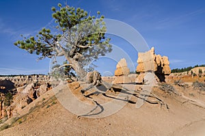 Bryce Canyon National Park