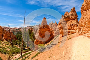 Bryce Canyon National Park - Hiking on the Queens Garden Trail and Najavo Loop into the canyon, Utah, USA