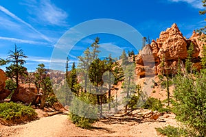Bryce Canyon National Park - Hiking on the Queens Garden Trail and Najavo Loop into the canyon, Utah, USA