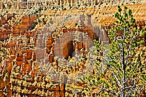 Bryce Canyon National Park, Hoodoos and beatuiful scenery