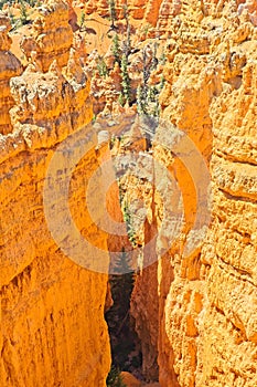 Bryce Canyon National Park, Hoodoos and beatuiful scenery