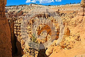 Bryce Canyon National Park, Hoodoos and beatuiful scenery