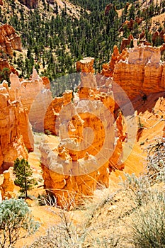 Bryce Canyon National Park, Hoodoos and beatuiful scenery