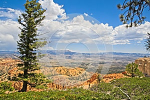 Bryce Canyon National Park, Hoodoos and beatuiful scenery