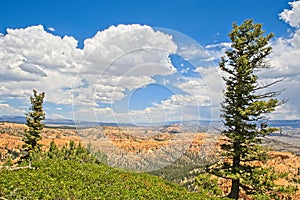 Bryce Canyon National Park, Hoodoos and beatuiful scenery