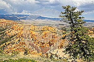 Bryce Canyon National Park, Hoodoos and beatuiful scenery