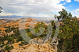 Bryce Canyon National Park, Hoodoos and beatuiful scenery