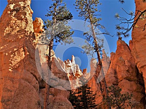 Bryce Canyon National Park Hoodoos